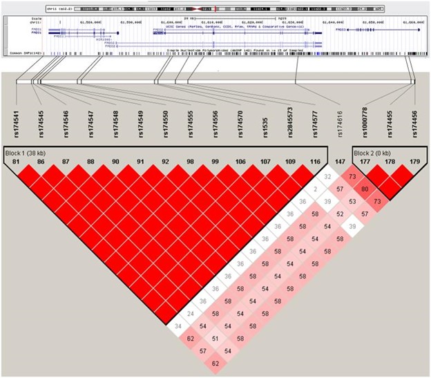 【佳学基因检测】基因检测FADS1-FADS2基因簇提前预防多囊卵巢综合征风险